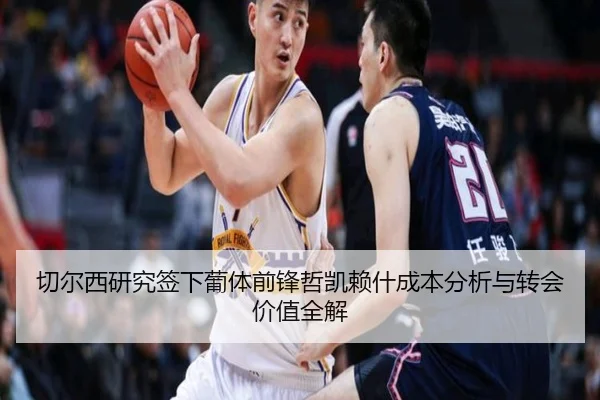 切尔西研究签下葡体前锋哲凯赖什成本分析与转会价值全解